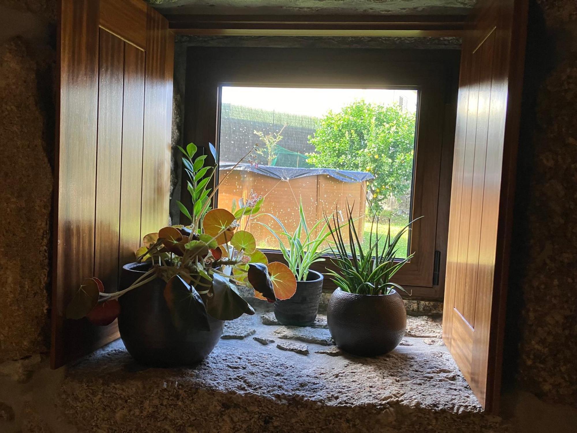Bergui Guesthouse - Em Guimaraes Desde 2017 Buitenkant foto